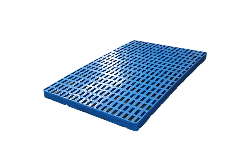 1667886160102123.jpg IMG_6974.JPG