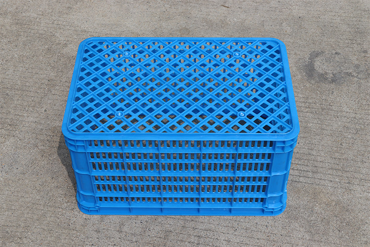 1667984566727075.jpg IMG_0976.JPG